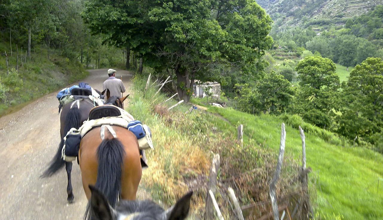 Refugio Alpujarra Alta Panzió Trevélez Kültér fotó