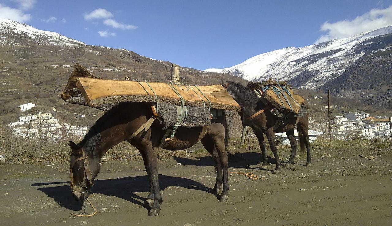 Refugio Alpujarra Alta Panzió Trevélez Kültér fotó