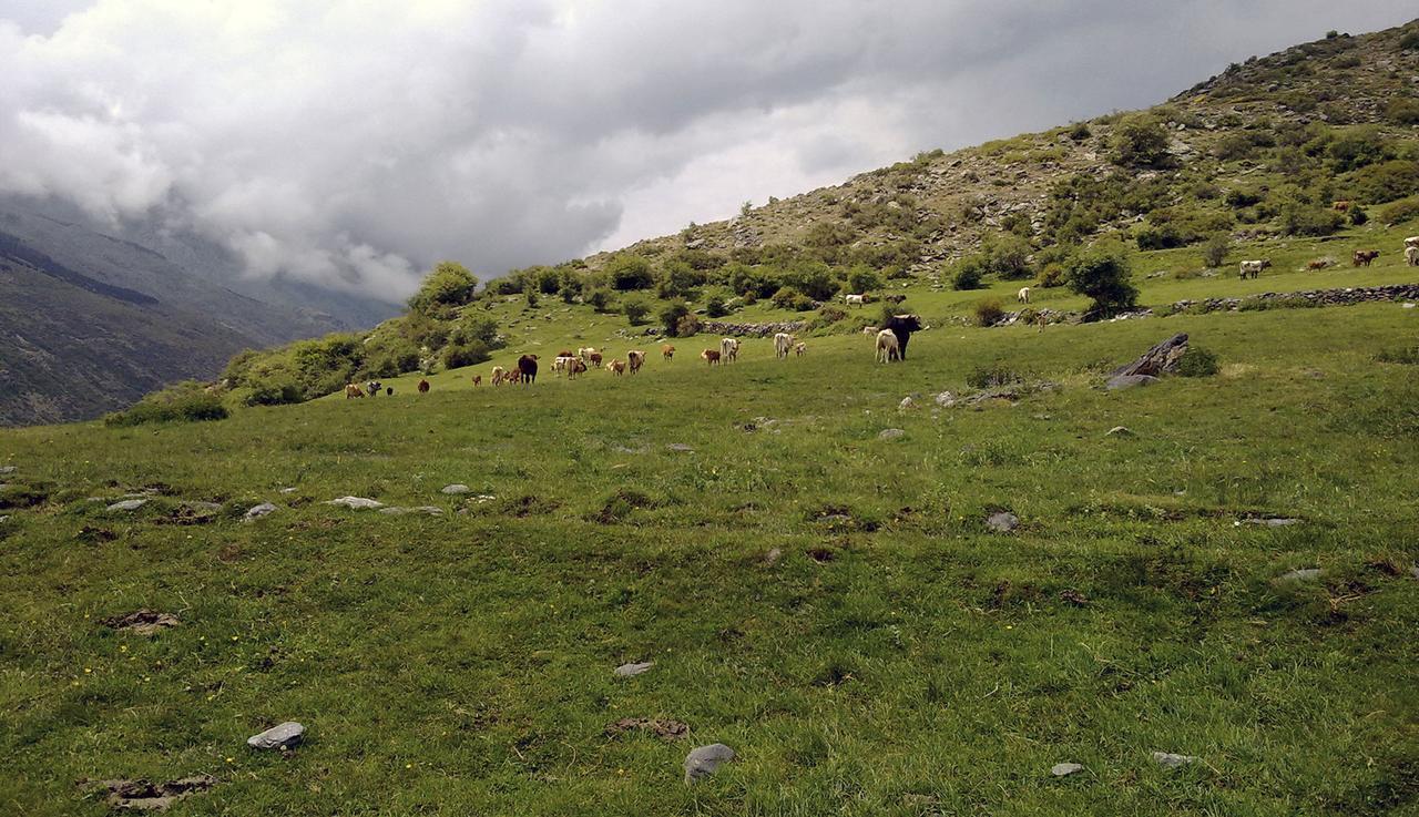 Refugio Alpujarra Alta Panzió Trevélez Kültér fotó