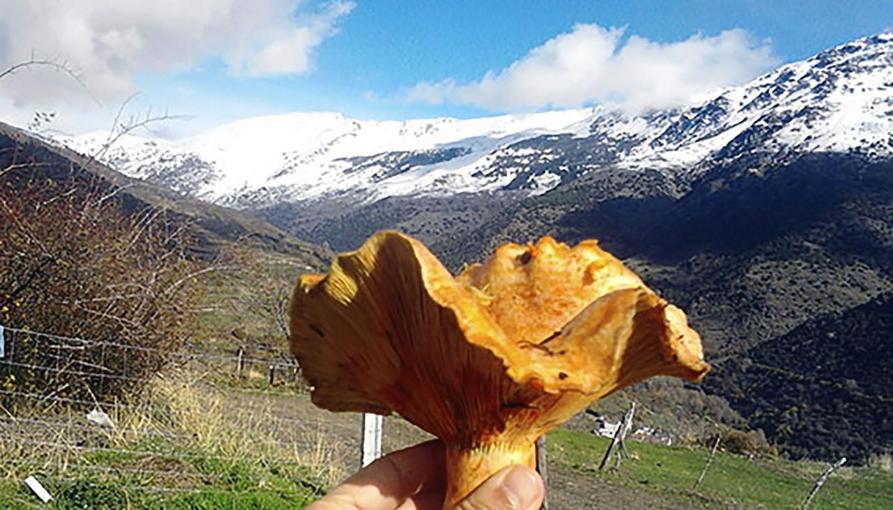Refugio Alpujarra Alta Panzió Trevélez Szoba fotó