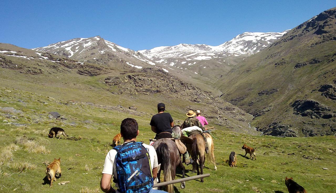 Refugio Alpujarra Alta Panzió Trevélez Kültér fotó