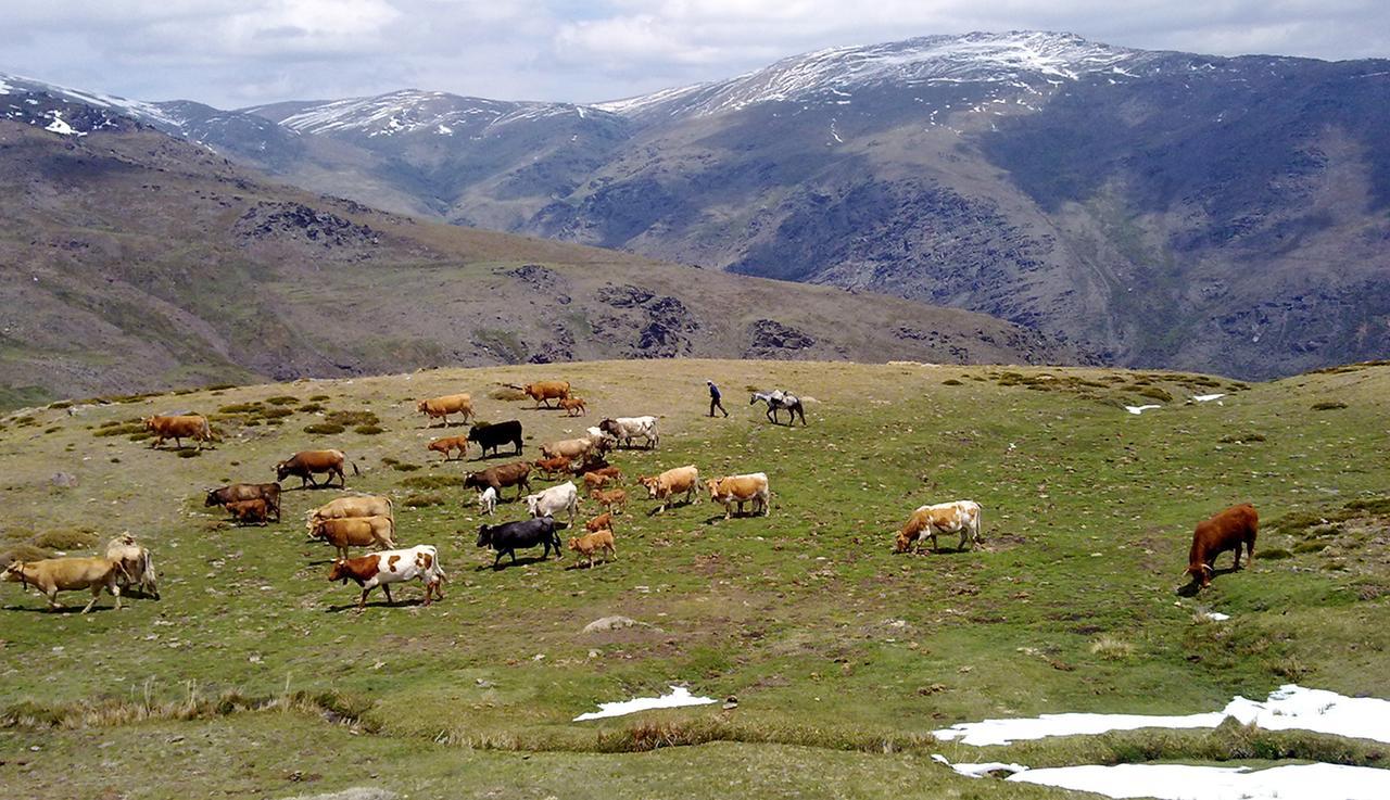 Refugio Alpujarra Alta Panzió Trevélez Kültér fotó