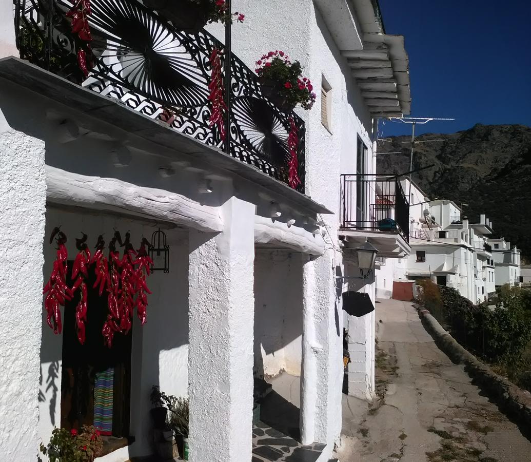 Refugio Alpujarra Alta Panzió Trevélez Kültér fotó