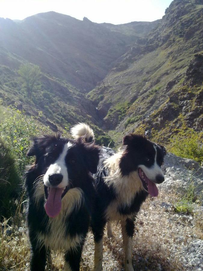 Refugio Alpujarra Alta Panzió Trevélez Kültér fotó